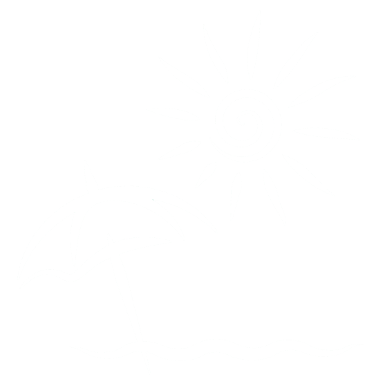 summerbundleicon